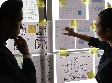 Entity & Semantic Optimization