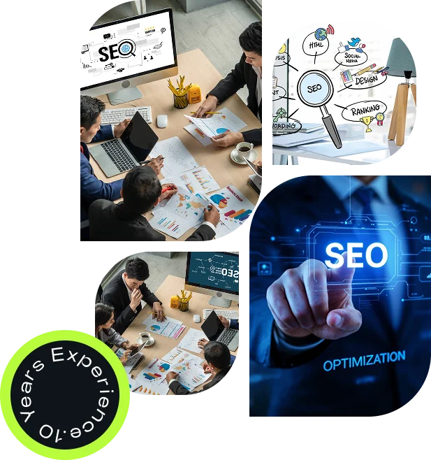 Professional SEO Services Company in India