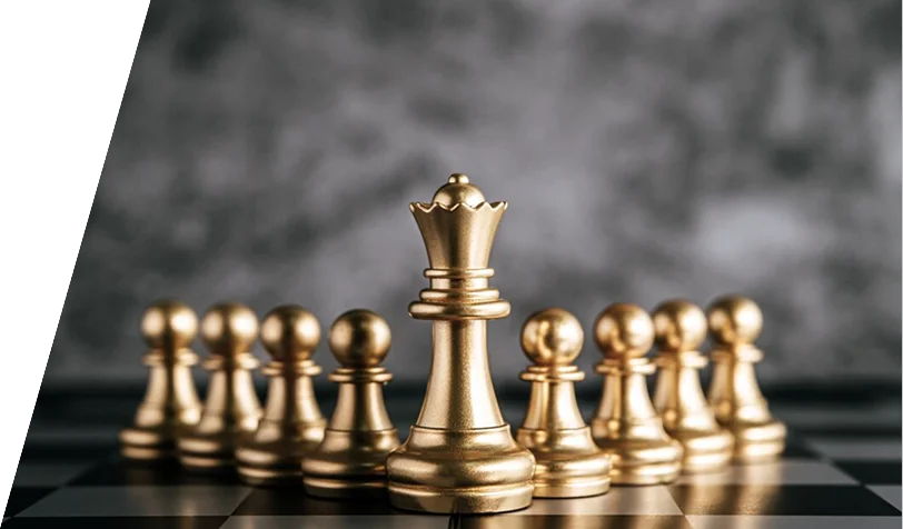 Be a Leader in Your Industry Online