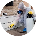 Pest Control