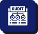 Website Audit