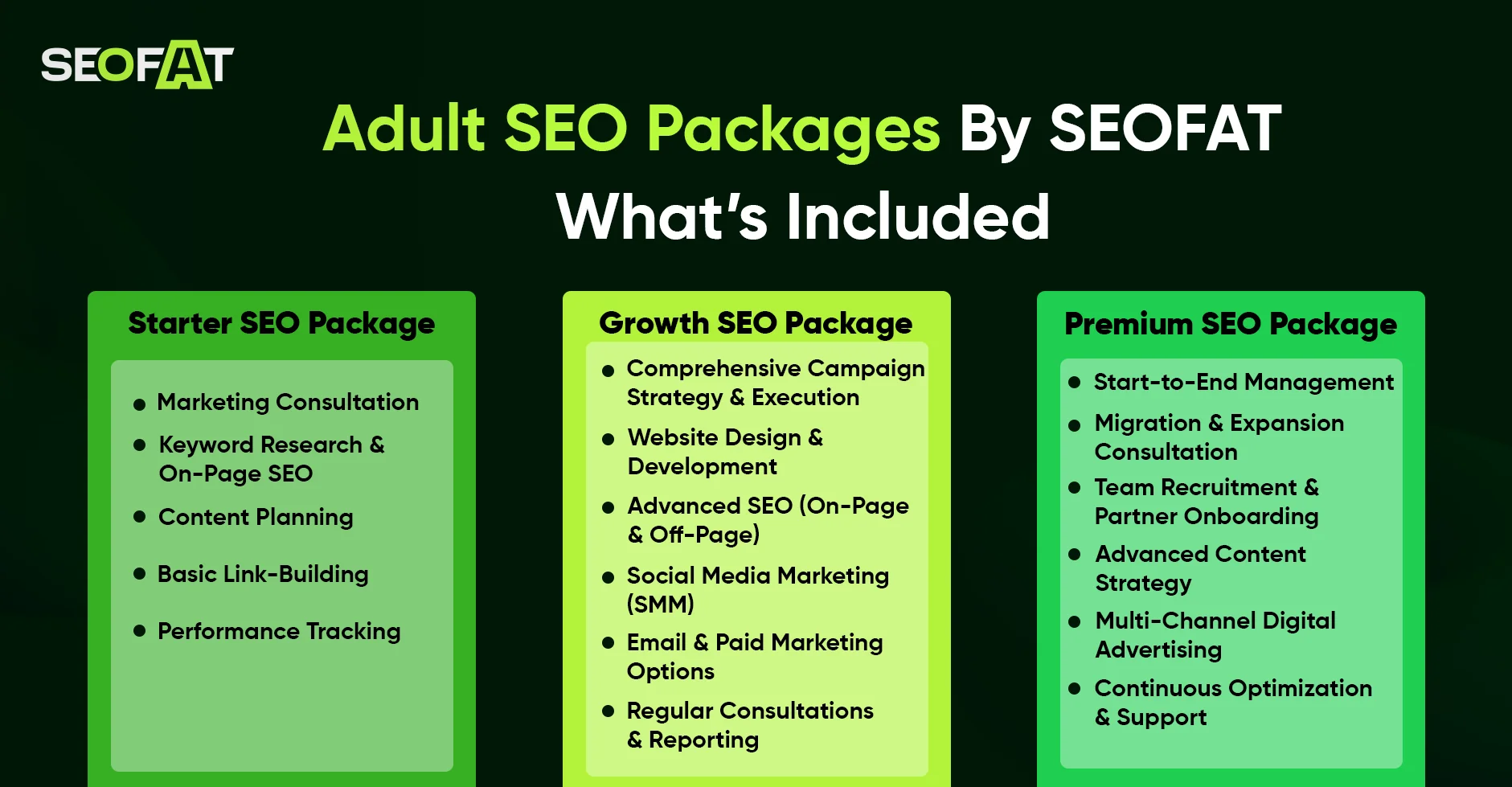 Adult SEO Packages 