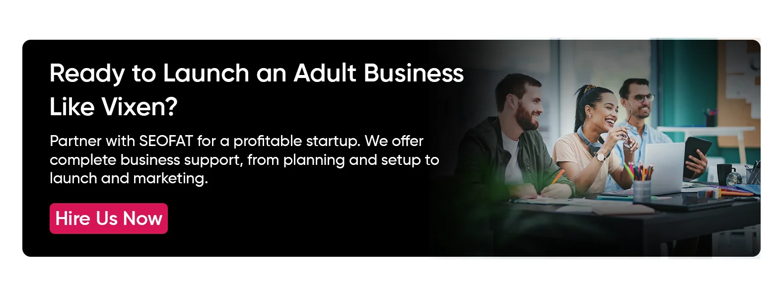 start an online adult business like Vixen